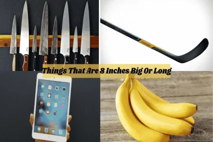 Items That Are 8 Inches