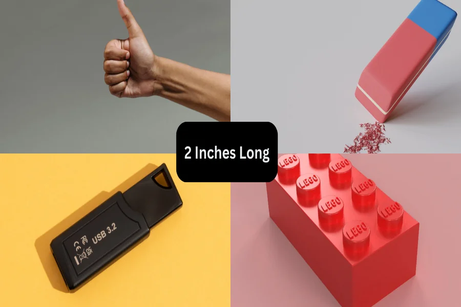 How Long Is 2 Inches Simple Size