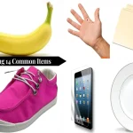 What Objects Are 9 Inches Long