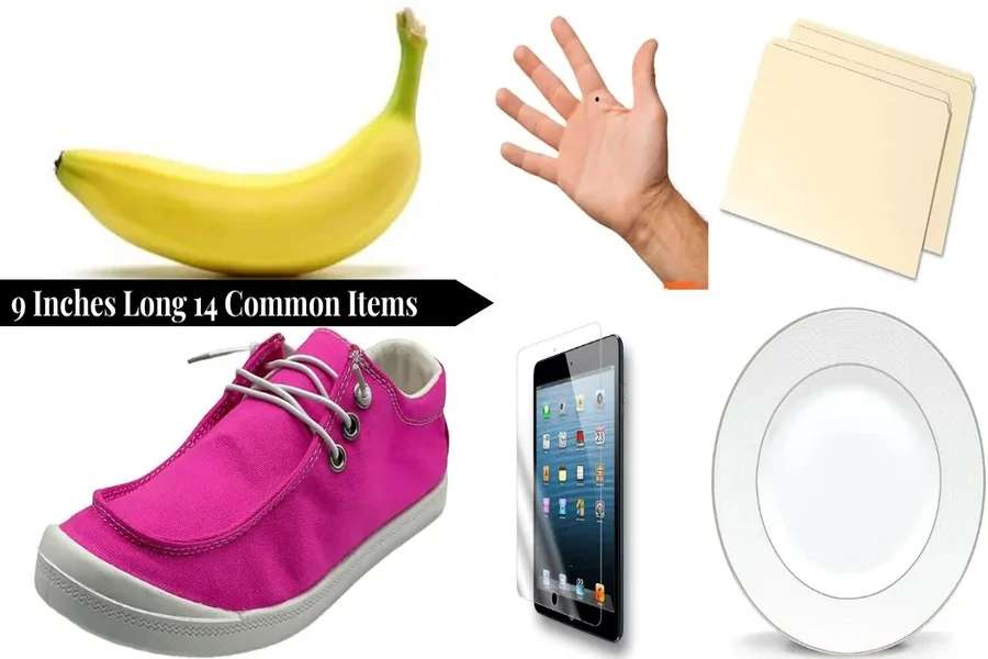 What Objects Are 9 Inches Long